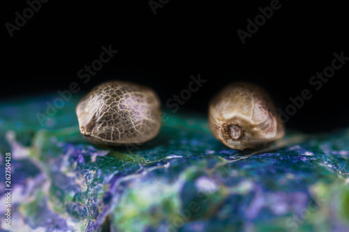 Bild auf Leinwand HDR Macro Photo of Medical Cannabis Seeds on the Colored Crystals Rock - Full Frame Picture