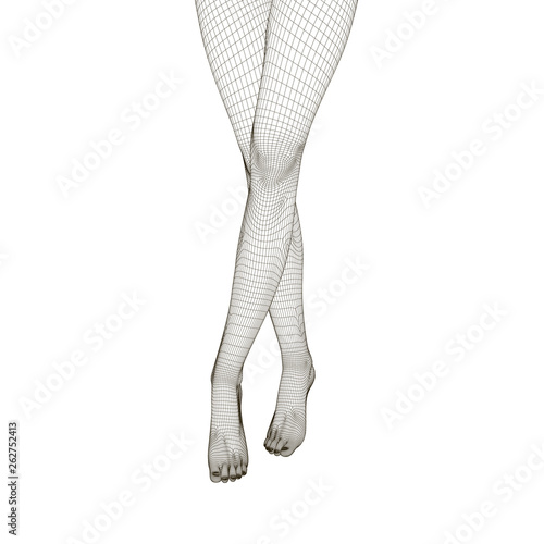 Wireframe of slender crossed female legs. Front view. Polygonal female legs 3D. Vector illustration