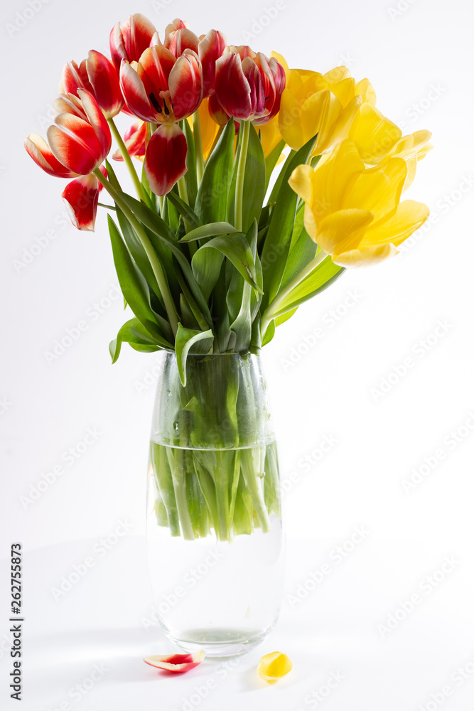vase eau tulipes eau blanc vert rouge jaune