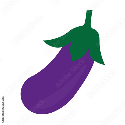 eggplant icon- vector illustration