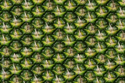 Pineapple peel a solid background without seams in green