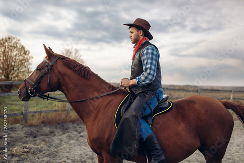 Cowboy riding a horse on texas farm © Nomad_Soul