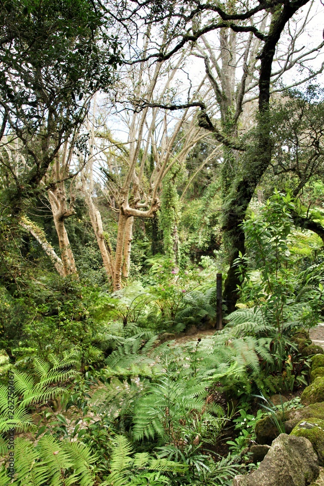 Leafy and green gardens in Sintra
