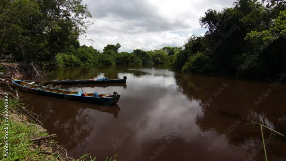 Time lapse of two typical small canoas moored on the coast of the Amazon River in Bolivia, surrounded by trees and bushes, on a cloudy day Time lapse of two typical small canoas moored on the coast of the Amazon River in Bolivia, surrounded by trees and bushes, on a cloudy day