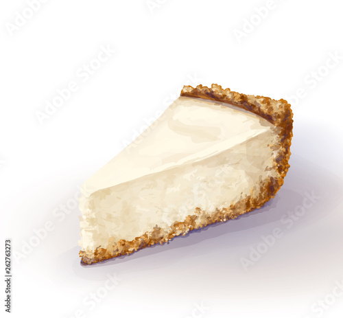 Vector piece of cheesecake cake with airy and tender, delicate creamy-curd cheese. Crisp and crumbly cake with back, appetizing, realistic, homemade cakes, drawn by hand. Tasty, healthy, delicious