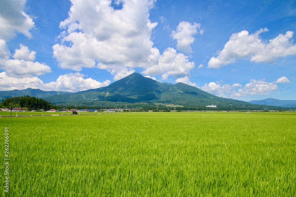 稲穂と磐梯山(福島県・猪苗代町) 稲穂と磐梯山(福島県・猪苗代町)