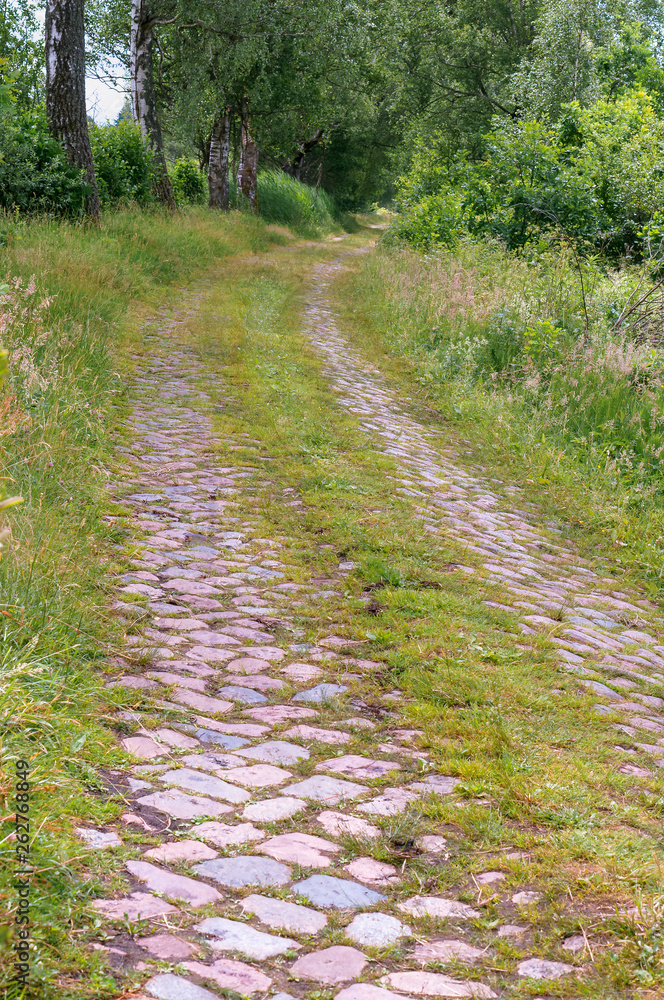The old forest road of their cobblestones. Сobblestone road in the forest. The old forest road of their cobblestones. Сobblestone road in the forest.