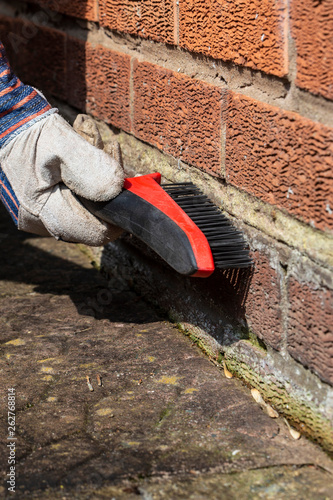 Man rubbing down brick wall with house removing water stain damage wearing gloves photo