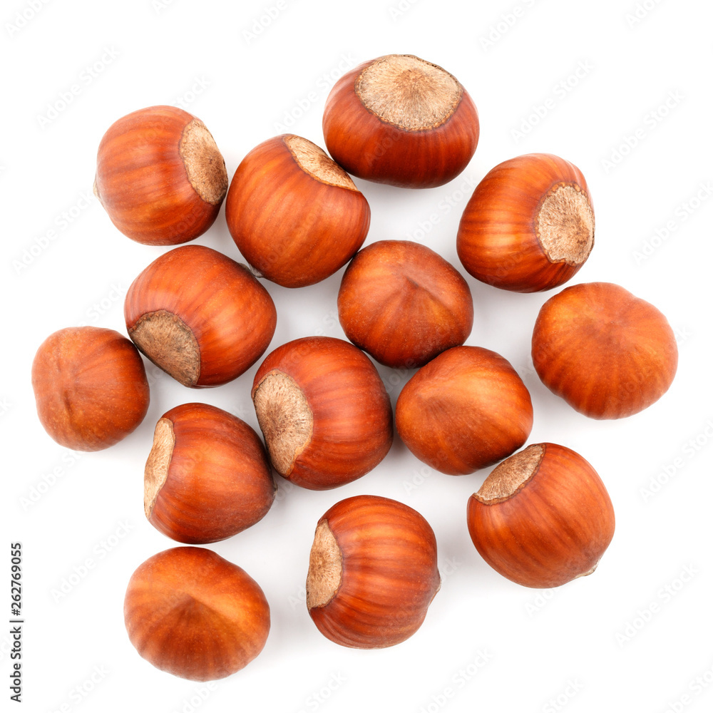 Top view of hazelnuts isolated on white background Top view of hazelnuts isolated on white background