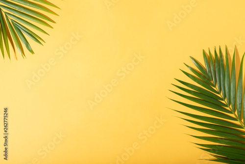 Φωτογραφία Green tropical palm leaves on yellow background with sunlight