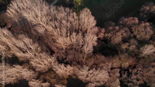 Aerial view of the woods. Flight over the trees . Flying over the top of trees .Flight over river. Cazalla de la Sierra photo