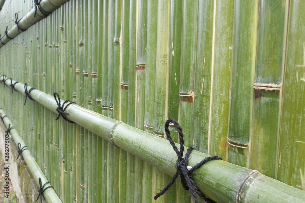 竹 - Japanese fresh green bamboo wall background 竹 - Japanese fresh green bamboo wall background