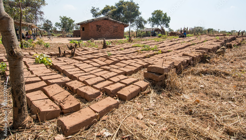 Mud Clay bricks Africa