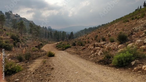 road in the mountains