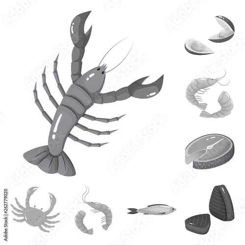 Fototapeta Naklejka Na Ścianę i Meble -  Vector design of seafood and healthy logo. Set of seafood and ocean vector icon for stock.