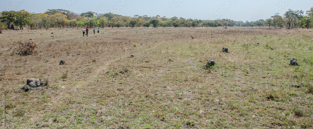 People Africa plane grass Zambia People Africa plane grass Zambia