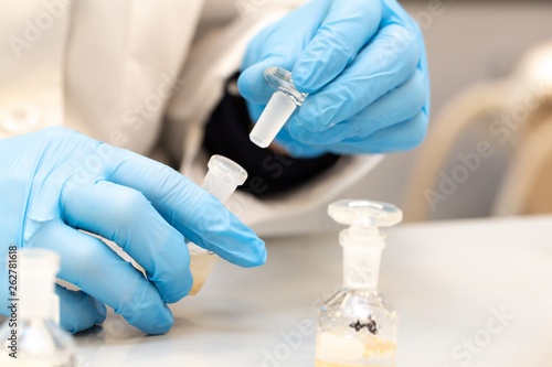 Closeup view of a scientist placing the lid on a glass bottle containing a research sample.