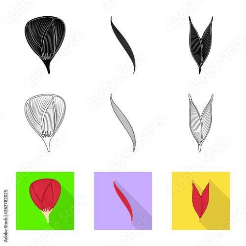 Vector illustration of fiber and muscular sign. Collection of fiber and body  stock symbol for web.