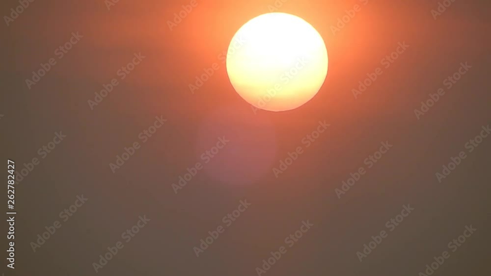Colourful early morning orange sunrise glow as shadowy silhouette of bird flying past the sun & skyline. Colourful early morning orange sunrise glow as shadowy silhouette of bird flying past the sun & skyline.