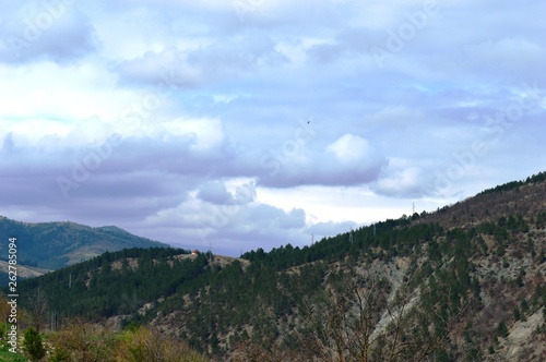 landscape in spring colors