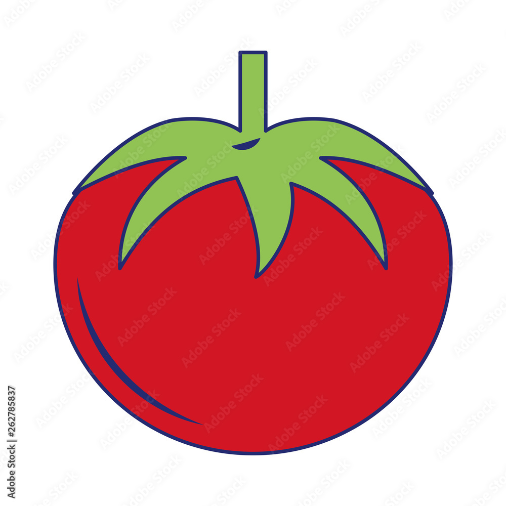Tomato fresh vegetable blue lines Tomato fresh vegetable blue lines