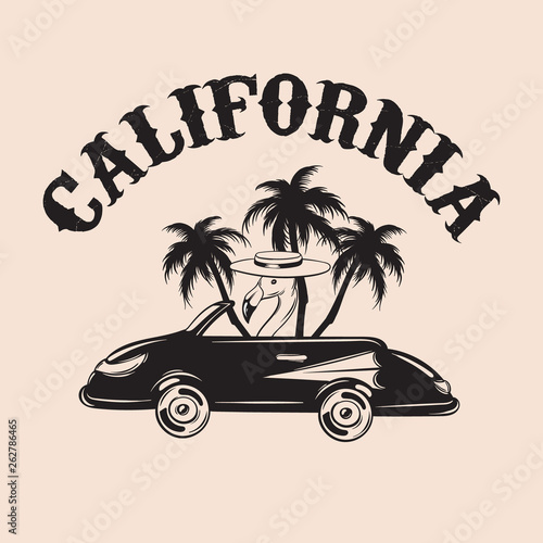 California. Vector hand drawn illustration of flamingo in retro car with palms isolated.