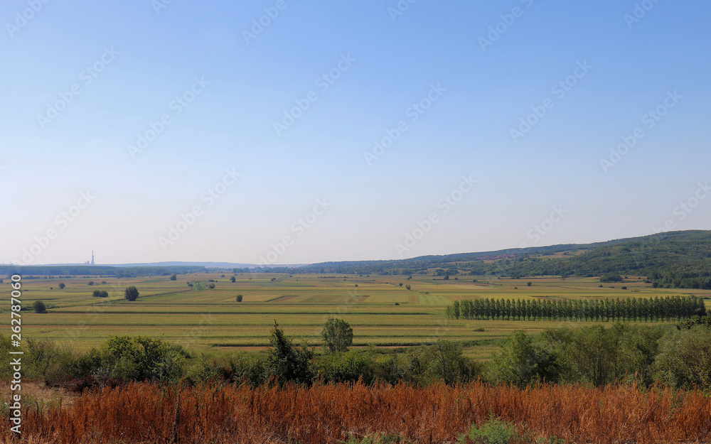 Summer field landscape