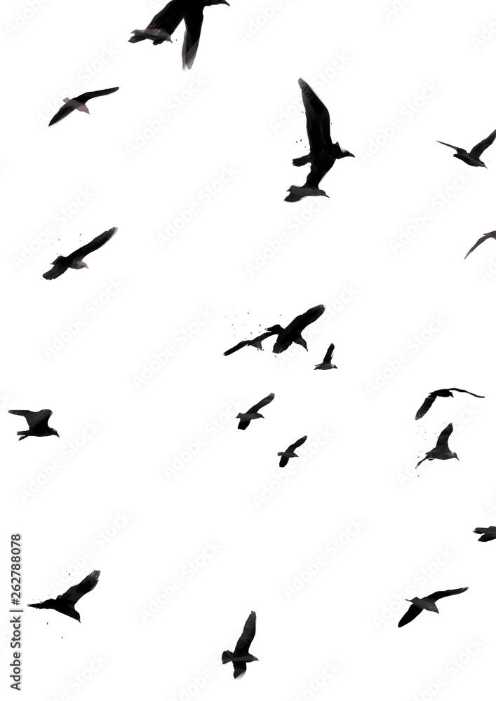 Illustration of birds flying isolated on white background. For poster, banner and postcard. Illustration of birds flying isolated on white background. For poster, banner and postcard.