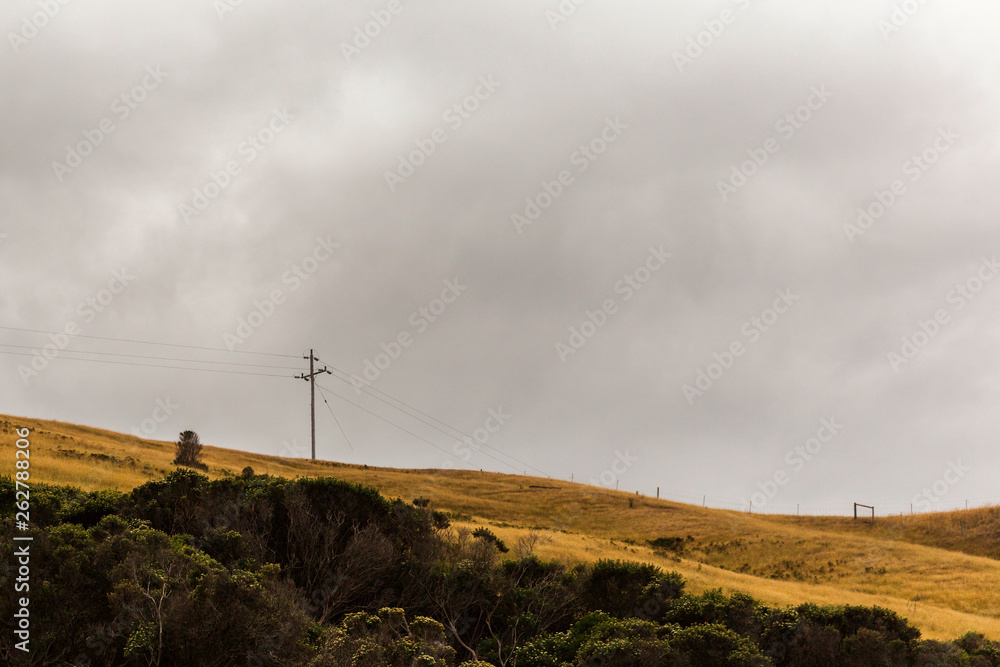 Obraz premium Lonely telephone line on grassy hill top on overcast day.