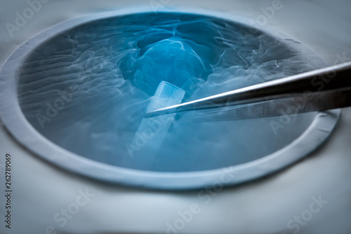 Cryopreservation of test tube on liquid nitrogen, a liquid nitrogen bank containing sperm and eggs cryosamples photo