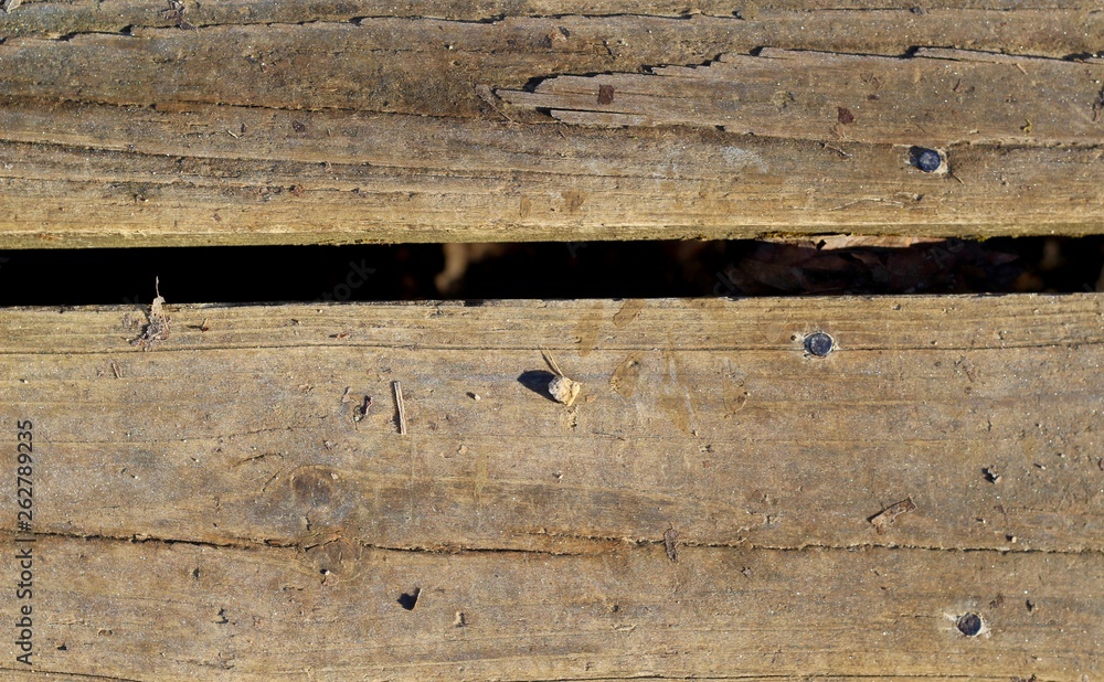 Naklejka premium A close view of the textures of the old wood boards.
