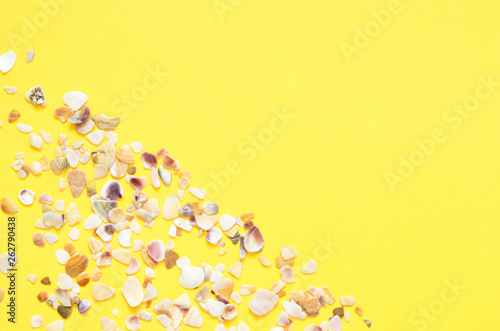 Sea shells pattern on  turquoise and yellow paper background. Summer concept. Flat lay, top view - Image