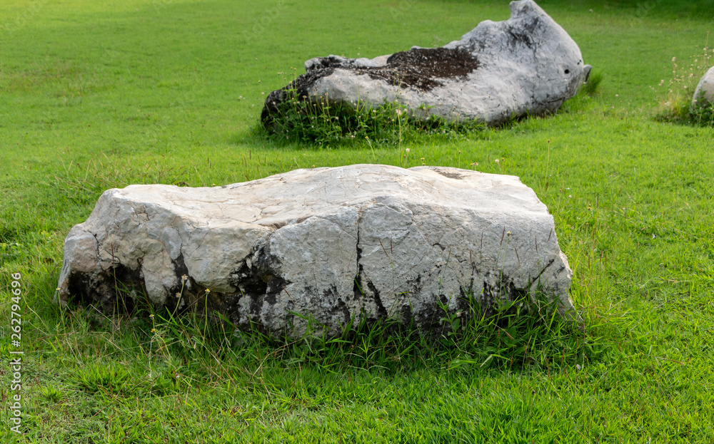 Decorate the lawn with a large white stone beautiful. Decorate the lawn with a large white stone beautiful.