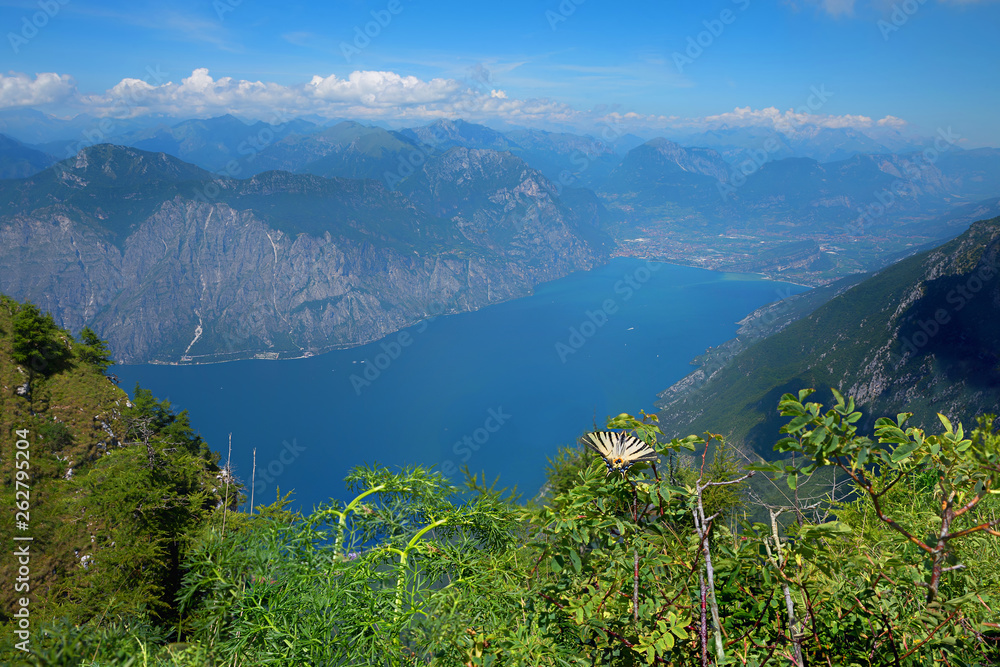Obraz premium Naturlandschaft am Monte Baldo, mit seltenem Segelfalter. Blick nach Riva