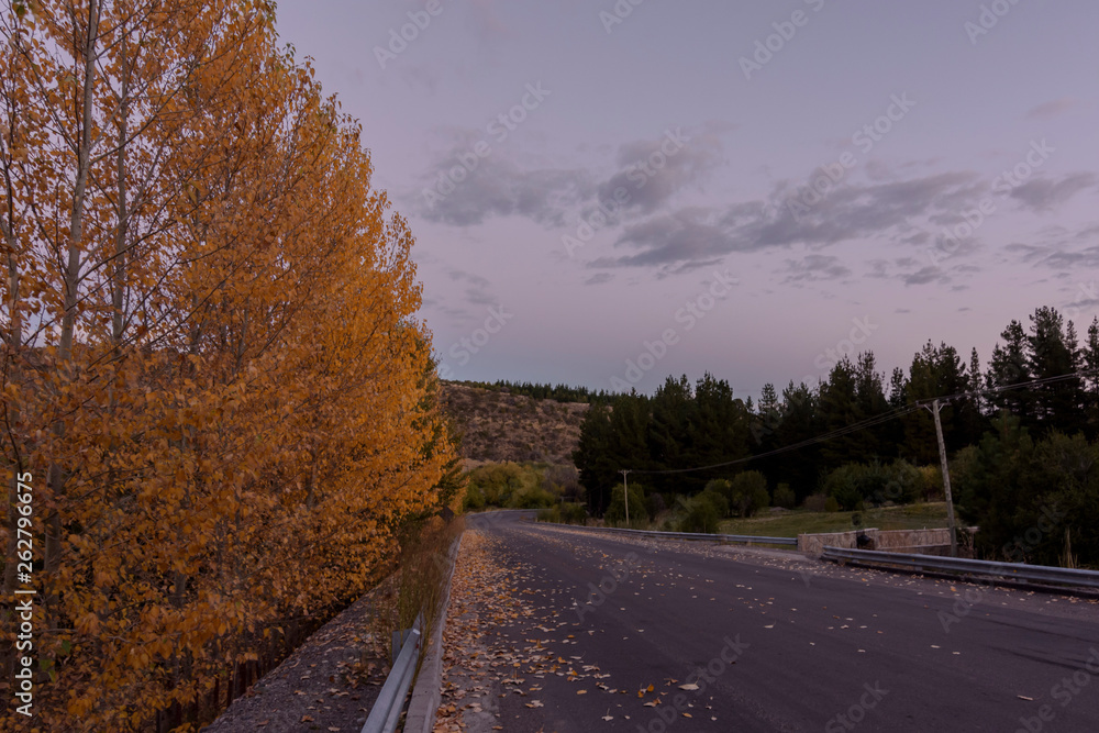 Fototapeta premium road in autumn