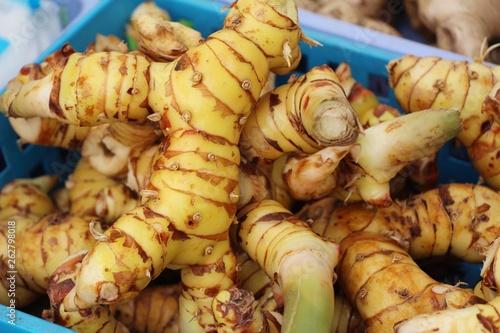 Fresh galangal for cooking in the market
