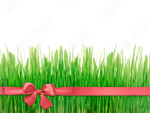 Green grass red silk ribbon