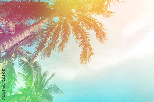 Tropical palm tree with colorful bokeh sun light on sunset sky cloud abstract background. Summer vacation and nature travel adventure concept. Vintage tone filter effect color style.