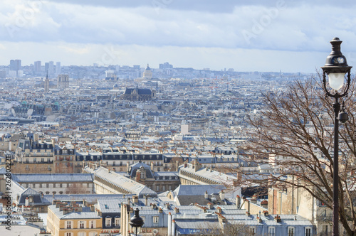 Scenic rooftop view of Paris, France. Paris Skyline
