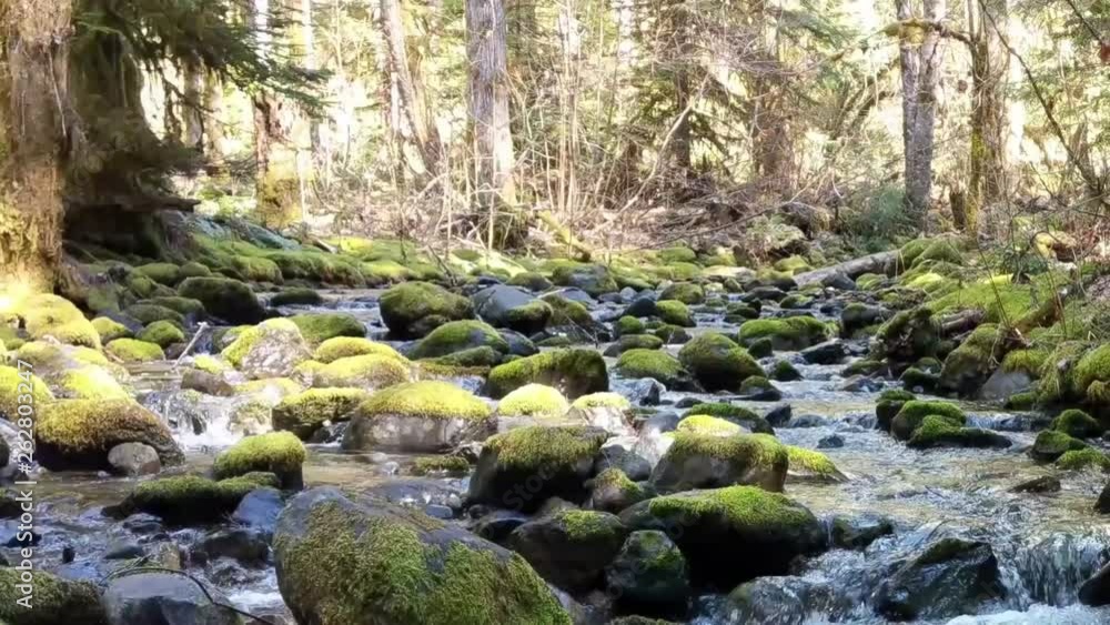 Water cascading over moss covered rocks in a mountain stream on a warm spring day Water cascading over moss covered rocks in a mountain stream on a warm spring day