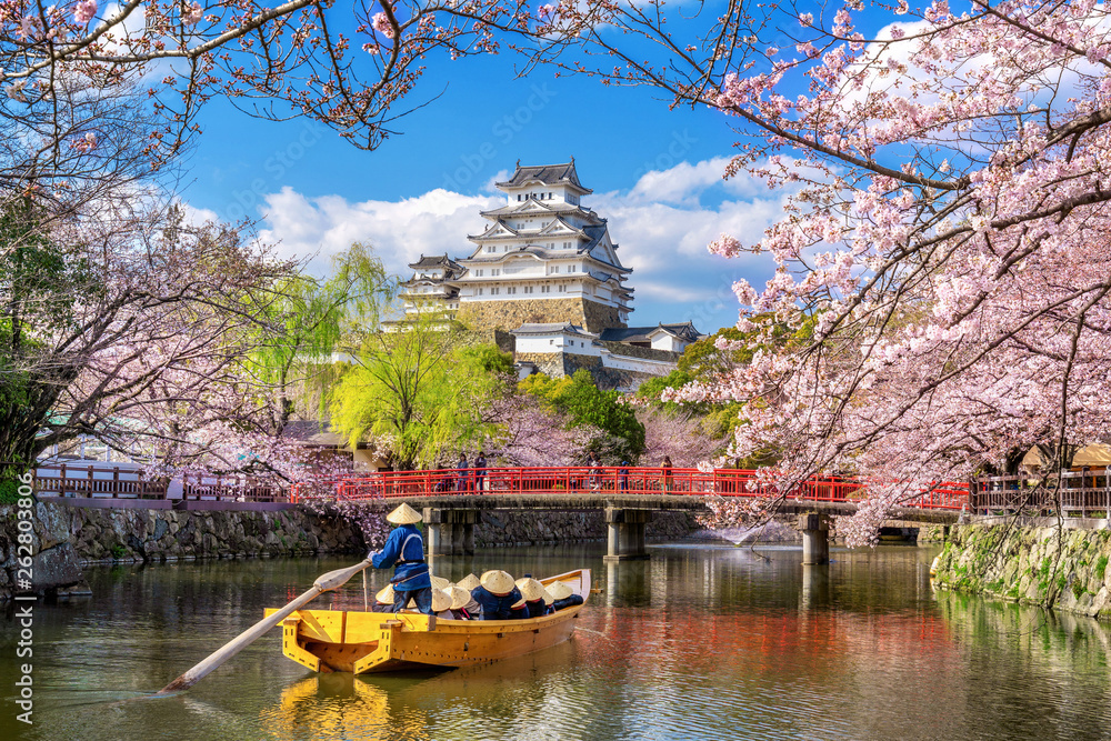 Obraz premium Zamek Himeji i kwitnące wiśnie wiosną, Japonia.