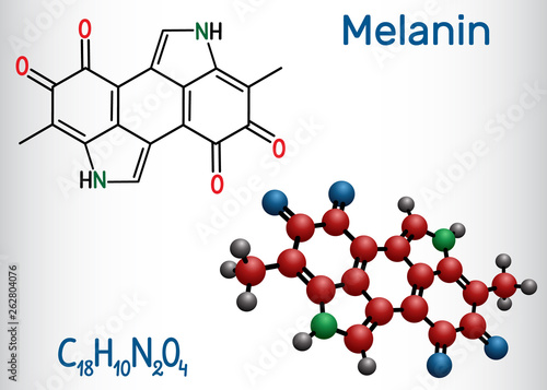 Melanin  molecule. Structural chemical formula and molecule model