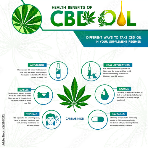 Cannabis with many benefits  vector illustration.