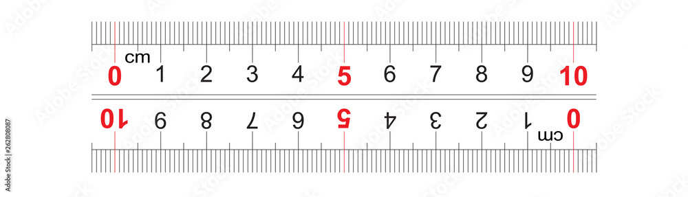 Ruler bidirectional double sided 100 millimeter, 10 centimeter. The  division price is 1 mm. Precise measuring tool. Calibration grid. Stock  Vector