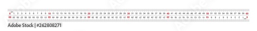Ruler bidirectional double sided 600 millimeter, 60 centimeter. The division price is 1 mm. Precise measuring tool. Calibration grid.