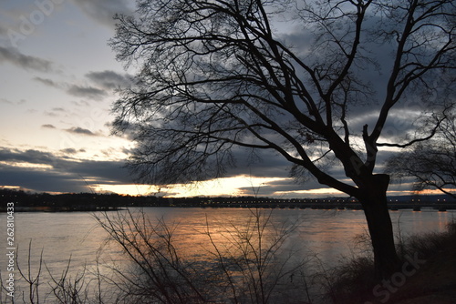 A view of the river at sunset