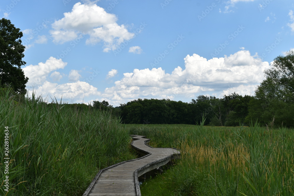 Blue skies over a boardwalk through a meadow
