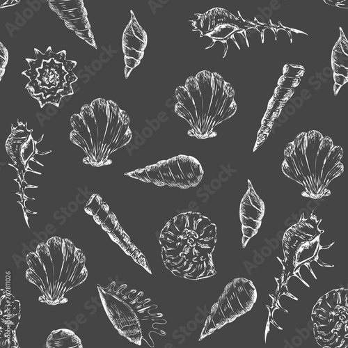 Black and white summer pattern with seashells