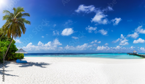 Fototapeta Naklejka Na Ścianę i Meble -  Reisebanner: Panorama eines tropischen Paradies Strandes mit Kokosnusspalmen, feinem Sand und türkisem Meer
