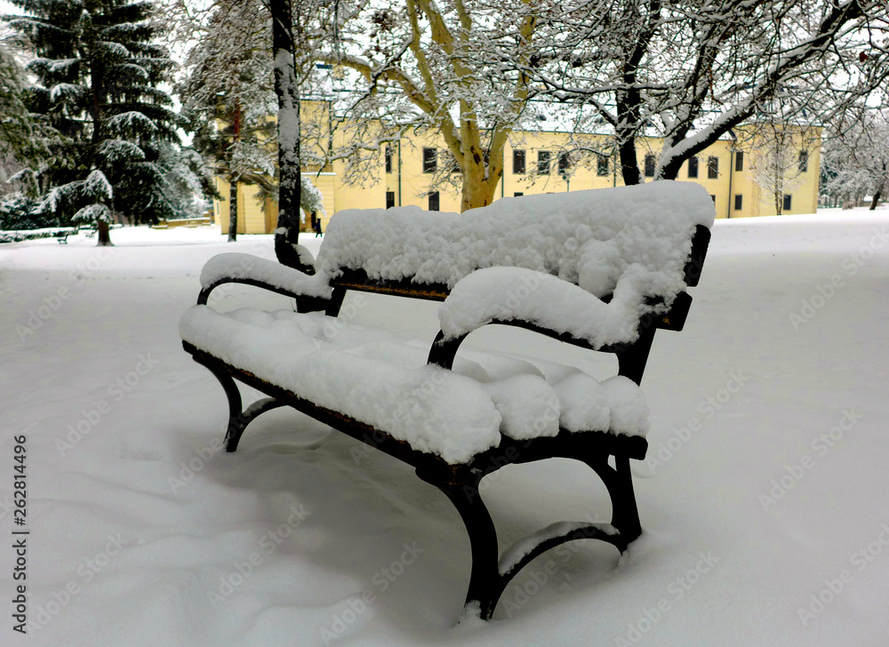 Snowy bench in nature